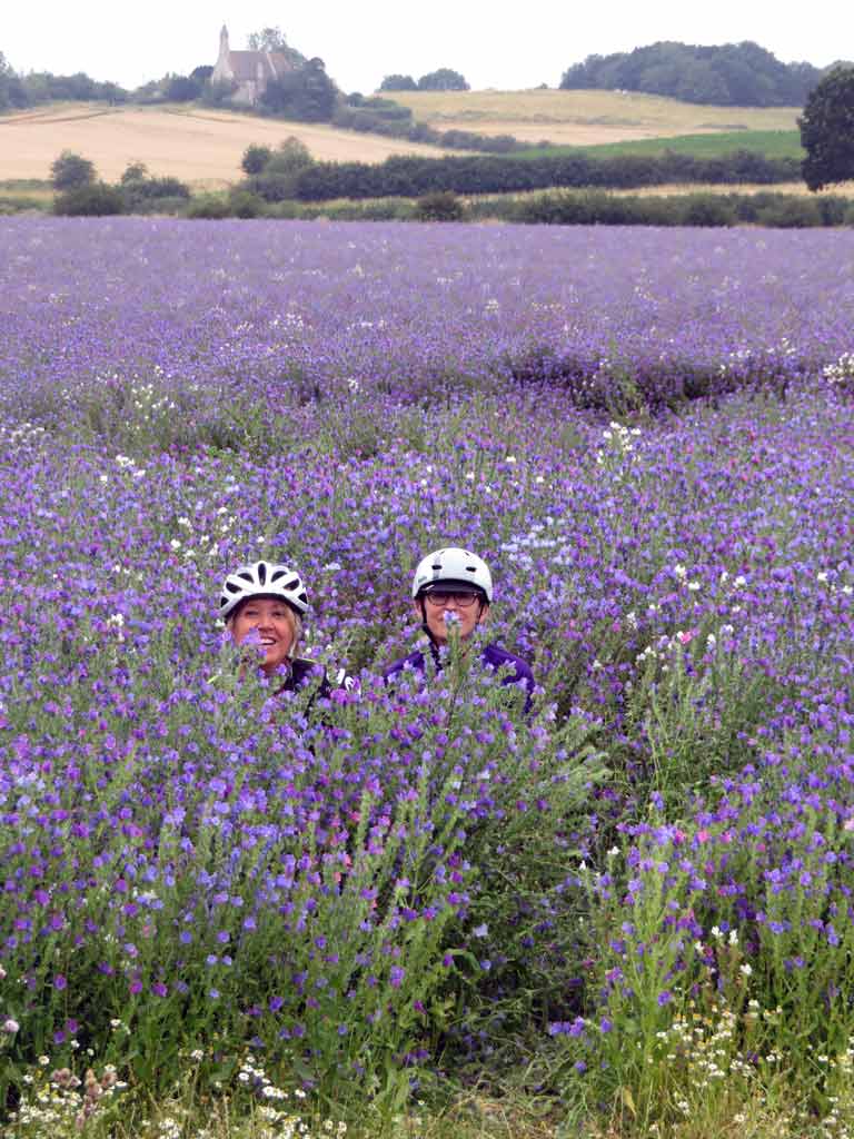 Cycling 48 miles on the return and another 2300 feet of ascent